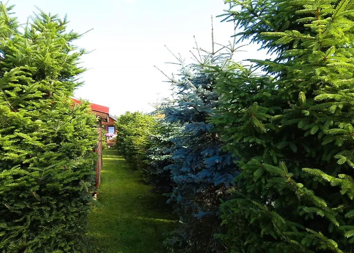 For 5 People By Interhome